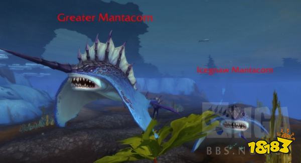 魔兽世界10.0可驯服宠物有哪些 10.0版本部分可驯服宠物一览