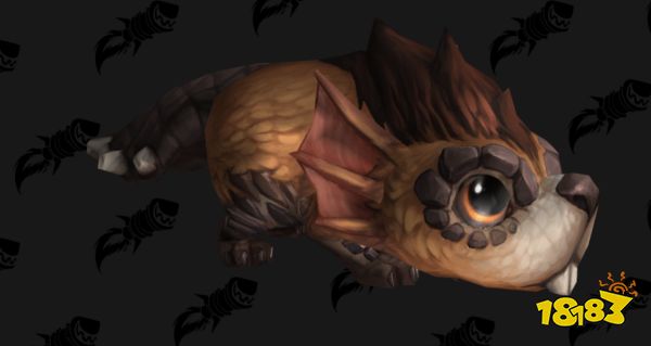 魔兽世界10.0小玩具有哪些 10.0版本小玩具一览