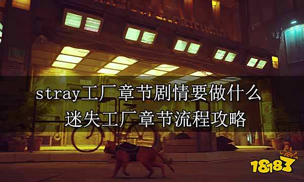 stray工厂章节剧情要做什么 迷失工厂章节流程攻略