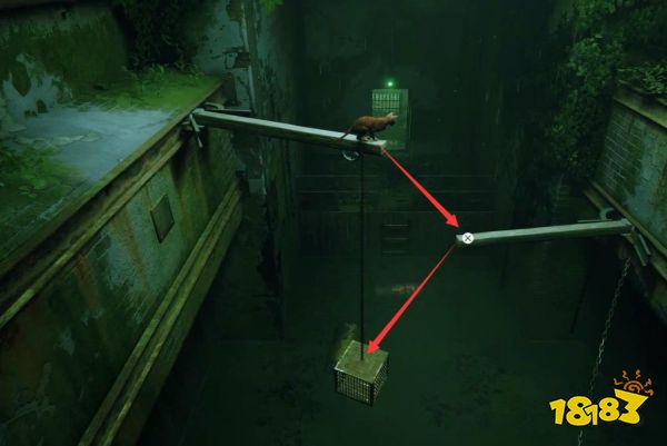 stray監獄章節劇情要做什么 迷失監獄章節流程攻略