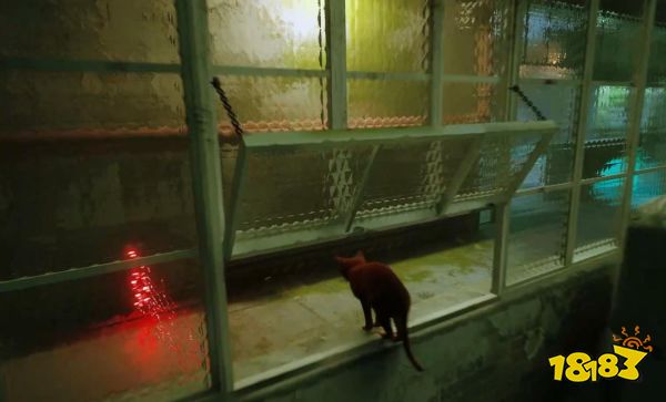 stray監獄章節劇情要做什么 迷失監獄章節流程攻略