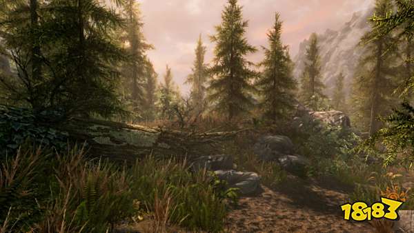 上古卷轴5雪瓶代码是多少 雪瓶代码秘籍攻略