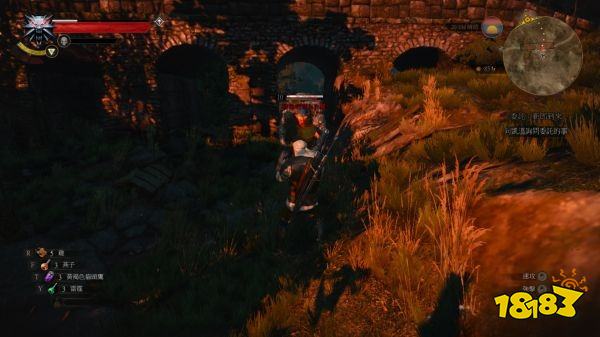 巫師3怎么獲得山洞巨魔肝 山洞巨魔肝獲得方法分享