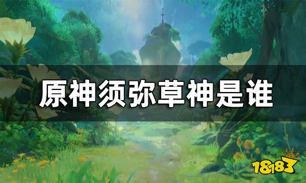 原神须弥草神介绍 草神是谁