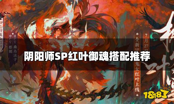 阴阳师SP红叶带什么御魂 SP红叶御魂搭配推荐