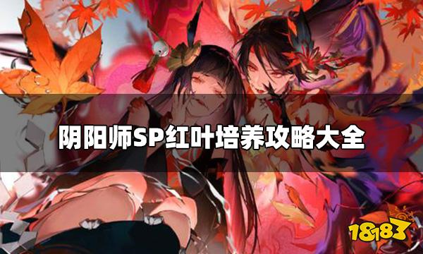 阴阳师SP红叶值得培养吗 SP红叶培养攻略大全