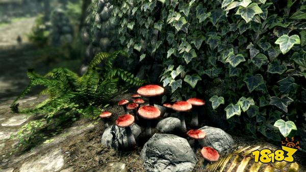 上古卷轴5植株代码有哪些 全植物代码秘籍攻略