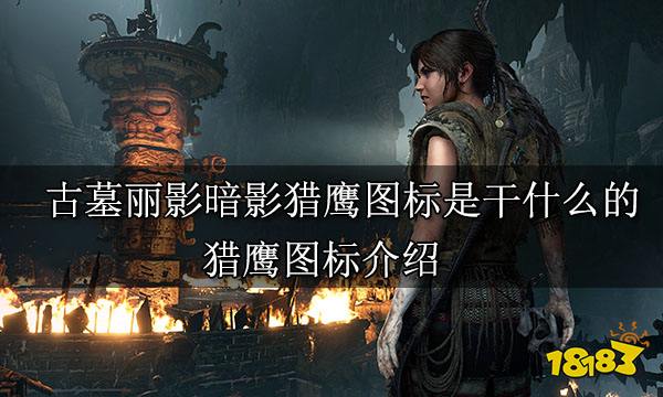 古墓丽影暗影猎鹰图标是干什么的 猎鹰图标介绍