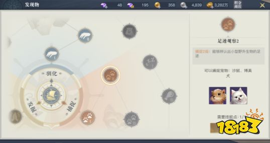 黎明之海探险技能点怎么用 获取及加点攻略