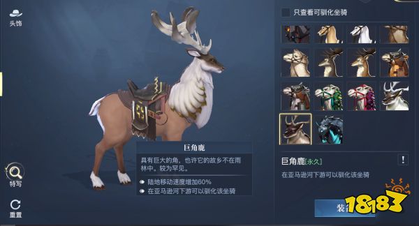 黎明之海稀有坐骑怎么获得 黎明之海稀有坐骑介绍