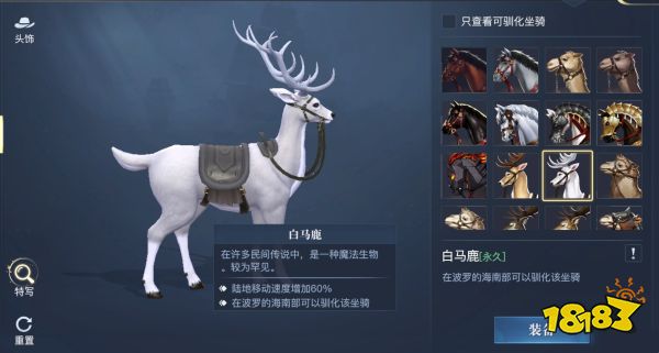 黎明之海稀有坐骑怎么获得 黎明之海稀有坐骑介绍