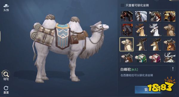 黎明之海稀有坐骑怎么获得 黎明之海稀有坐骑介绍