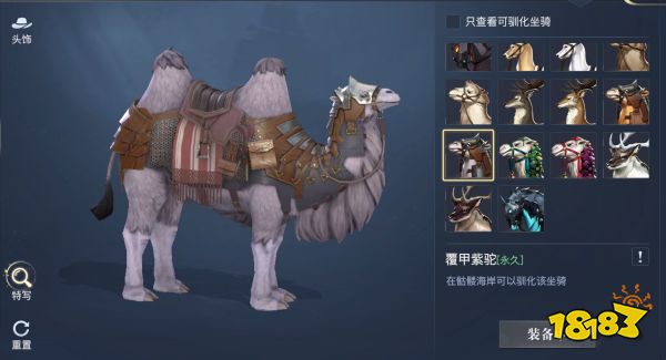 黎明之海稀有坐骑怎么获得 黎明之海稀有坐骑介绍