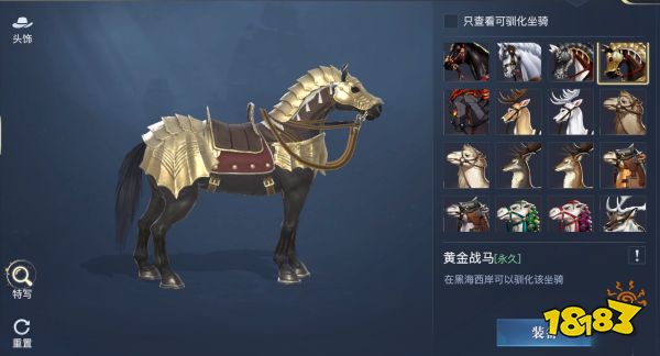 黎明之海稀有坐骑怎么获得 黎明之海稀有坐骑介绍