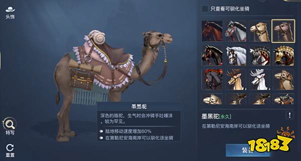 黎明之海稀有坐骑怎么获得 黎明之海稀有坐骑介绍