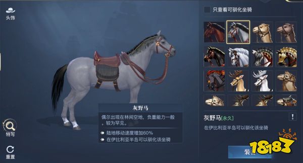 黎明之海稀有坐骑怎么获得 黎明之海稀有坐骑介绍