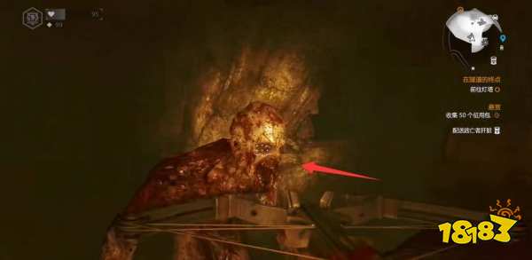 消逝的光芒夜魔有几种 夜魔的种类介绍