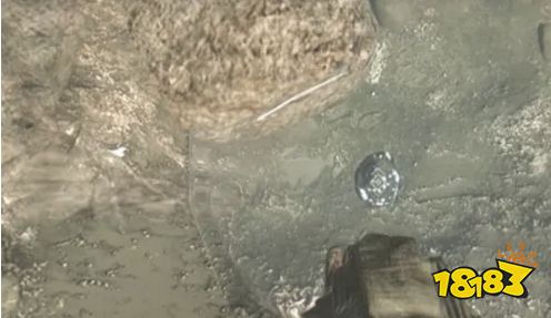 消逝的光芒反鳕鱼星人枪子弹怎么获得 反鳕鱼星人枪子弹获取方法