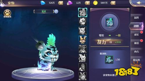 《舞动精灵-真0元刷充》宠物功能介绍