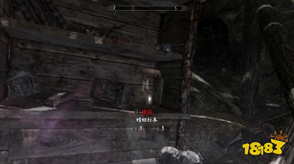 上古卷轴5昆虫标本在哪里 全昆虫标本收集攻略