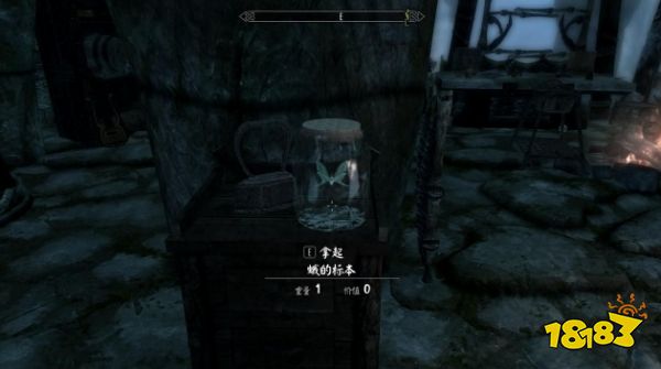 上古卷轴5昆虫标本在哪里 全昆虫标本收集攻略