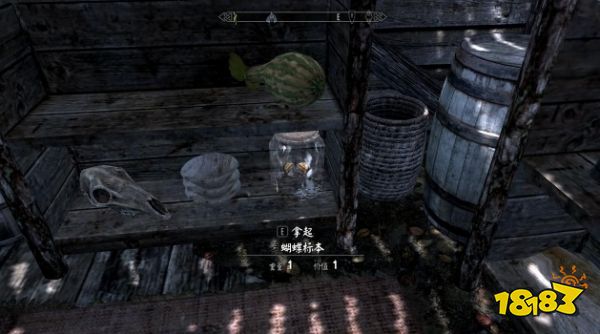 上古卷轴5昆虫标本在哪里 全昆虫标本收集攻略