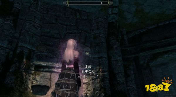 上古卷轴5昆虫标本在哪里 全昆虫标本收集攻略