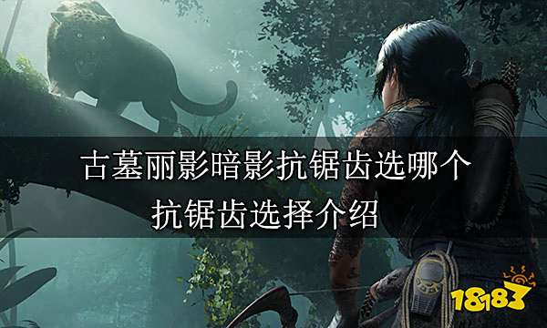 古墓丽影暗影抗锯齿选哪个 抗锯齿选择推荐