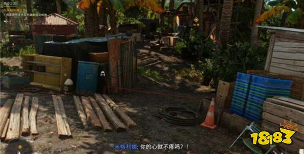 孤島驚魂6青澀之戀任務(wù) 青澀之戀任務(wù)攻略
