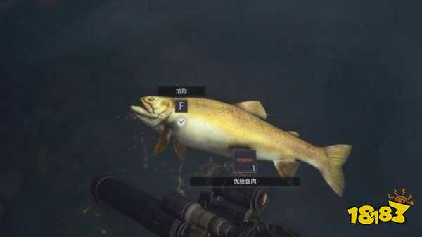 生化危機8魔幻魚在哪 魔幻魚位置一覽