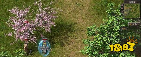 神途法师宝宝等级如何提升 神途宝宝快速升级小技巧分享