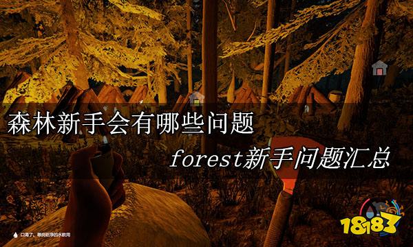 森林新手会有哪些问题 forest新手问题汇总