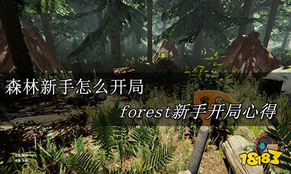 森林新手怎么开局 forest新手开局心得