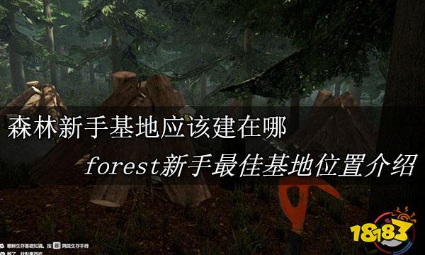 森林新手基地应该建在哪 forest新手最佳基地位置介绍