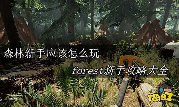 森林新手应该怎么玩 forest新手攻略大全