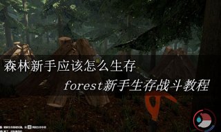 森林新手怎么生存 forest新手生存战斗教程