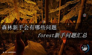 森林新手会有哪些问题 forest新手问题汇总