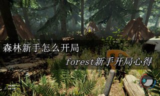 森林新手怎么开局 forest新手开局心得