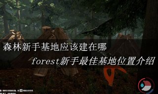 森林新手基地应该建在哪 forest新手最佳基地位置介绍