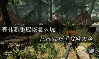 森林新手应该怎么玩 forest新手攻略大全