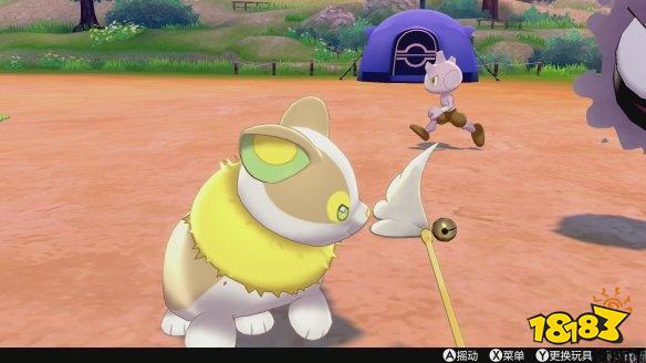 宝可梦剑盾露营怎么玩 露营具体玩法介绍