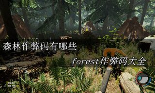 <b>森林作弊码有哪些 forest作弊码大全</b>