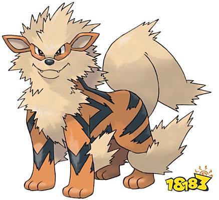 宝可梦剑盾单打暴鲤龙队怎么搭配 单打暴鲤龙队搭配思路