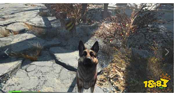 辐射4怎么刷好感度 辐射4npc好感度提升攻略