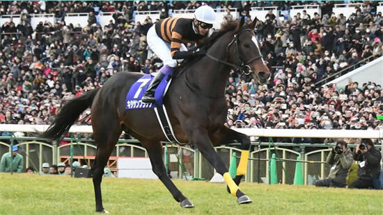 赛马娘北部玄驹什么时候出台服被黑上线时间