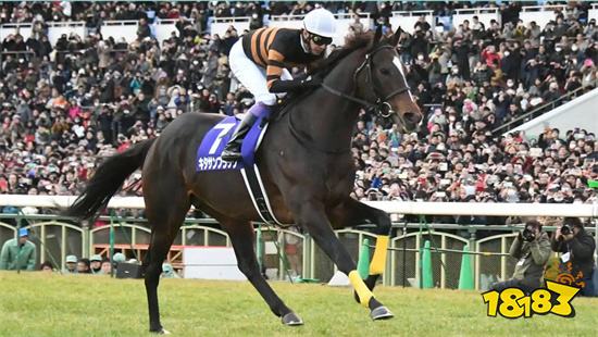 赛马娘北部玄驹什么时候出 台服被黑上线时间