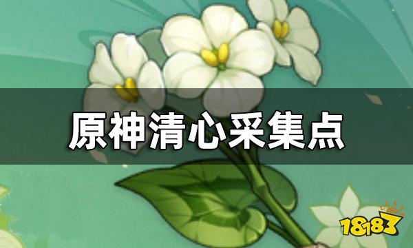 原神清心采集点 清心要去哪采集比较快