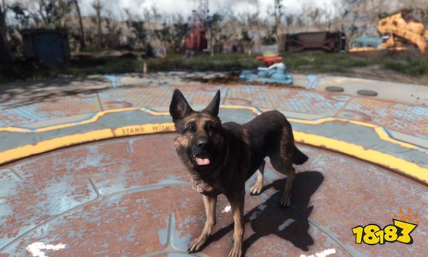 辐射4背包怎么打开 背包打开方法介绍