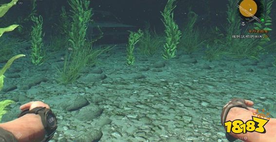 消逝的光芒幸存者指南任务怎么做 幸存者指南任务流程攻略