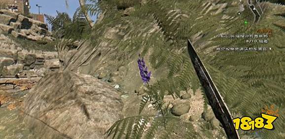 消逝的光芒有毒草药任务怎么做 有毒草药任务流程攻略